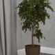 Подставка для цветов на колесах "Спираль"
